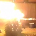 Looking to get rid of the Christmas Tree? Don’t do this