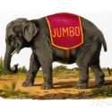 Jumbo The Elephant Calls In